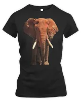 The Organic Iconic Women's Fitted T-shirt