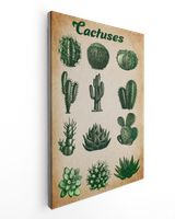 Collection Desert Plants Cactus  Succulent Prickly Spine Cactus Exotic Nature Ready To Hang Canvas (16x24 inch) white 16x24in
