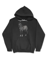 Beautiful Gray Grulla Quarter Horse Stalli