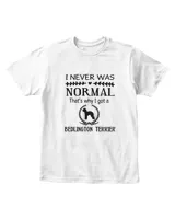 Youth's Standard T-Shirt