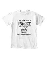Youth's Standard T-Shirt