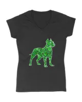 Women&#39;s V-Neck T-Shirt