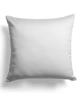 Canvas Pillow (Dual Sided)