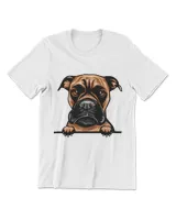 Men's Premium Tshirt