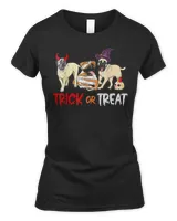 Women's Soft Style T-Shirt