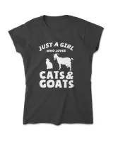 Women's Soft Style T-Shirt