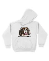 Youth Pullover Hoodie