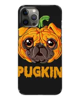 Snap Case - iP 12