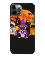 Snap Case - iP 12