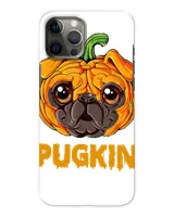 Snap Case - iP 12