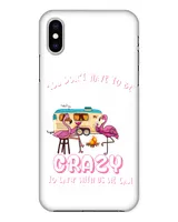 Snap Case - iP X,  Xs