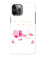 Snap Case - iP 12 Pro Max