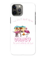 Snap Case - iP 12 Pro Max