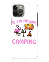 Snap Case - iP 12 Pro Max