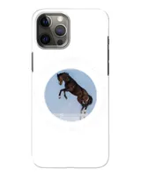 Snap Case - iP 12 Pro Max