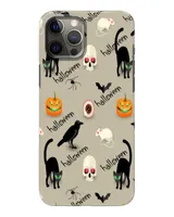 Snap Case - iP 12 Pro Max