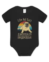 Baby Bodysuit - EU Baby Bodysuit - EU