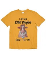 Heavyweight Garment-Dyed T-Shirt – Comfort Colors