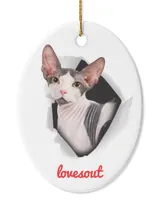 Oval Ceramic Ornament (US)