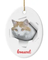 Oval Ceramic Ornament (US)