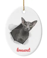 Oval Ceramic Ornament (US)