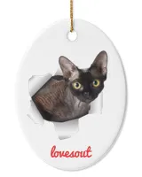 Oval Ceramic Ornament (US)