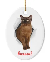 Oval Ceramic Ornament (US)
