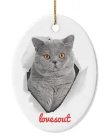 Oval Ceramic Ornament (US)