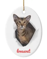 Oval Ceramic Ornament (US)