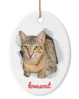Oval Ceramic Ornament (US)