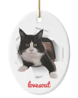 Oval Ceramic Ornament (US)