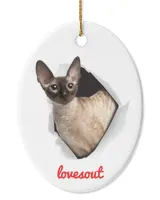 Oval Ceramic Ornament (US)