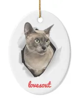 Oval Ceramic Ornament (US)