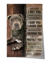 Satin Portrait Poster (24x36in)