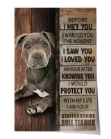 Satin Portrait Poster (12x18in)