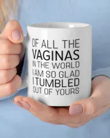 I Am So Glad I Tumbled Out Of Yours Mug