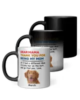 Magic Mug 11oz