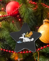 Acrylic Ornament - Star