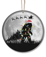 Acrylic Ornament - Circle