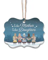 Acrylic Ornament - Medallion