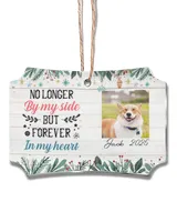 Acrylic Ornament - Scalloped