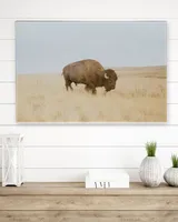 Ready To Hang Canvas (36X24 inch)