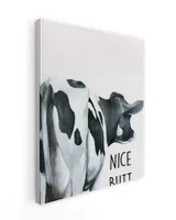 cow nice