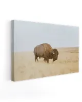 Ready To Hang Canvas (24x16 inch)