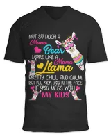 Unisex Jersey SS V-Neck T-Shirt Unisex Jersey SS V-Neck T-Shirt