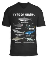 Unisex Jersey SS V-Neck T-Shirt