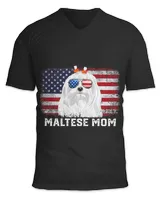 Unisex Jersey SS V-Neck T-Shirt