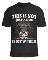 Unisex Jersey SS V-Neck T-Shirt
