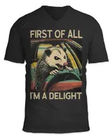 Unisex Jersey SS V-Neck T-Shirt