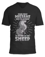 Unisex Jersey SS V-Neck T-Shirt